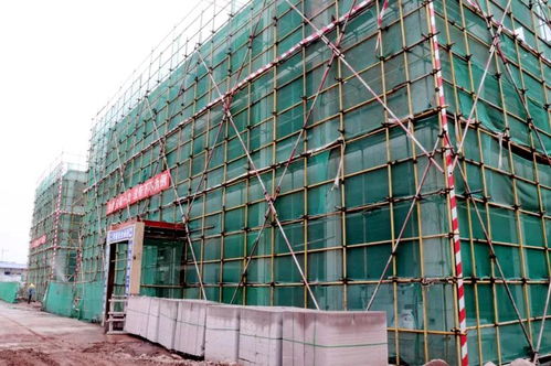 喜訊！龍馬潭大型建材產業物流港建設迎來新進展