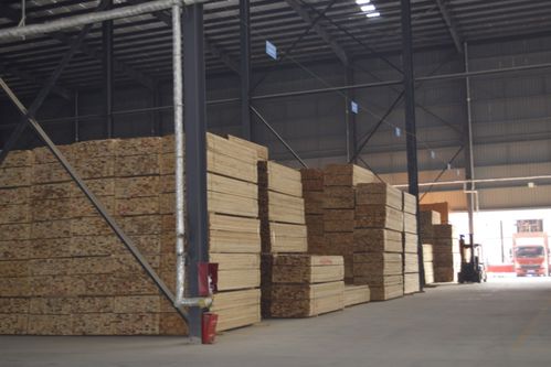 鄭州建材模板市場再迎巨擘，華豐·榮俊模板中心璀璨開業(yè)